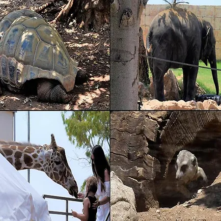 Vilă Coralia Gardens 1km From *