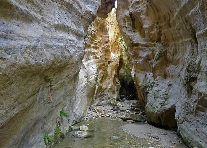 Coralia Gardens 1km From